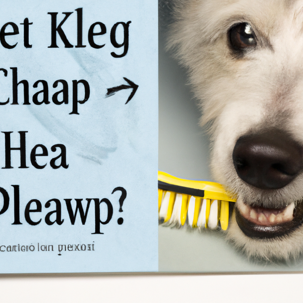 How to Keep Your Dog’s Teeth Clean and Prevent Dental Issues