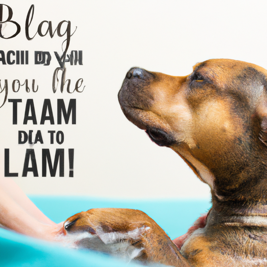 Teaching Your Dog to Stay Calm during Bath Time