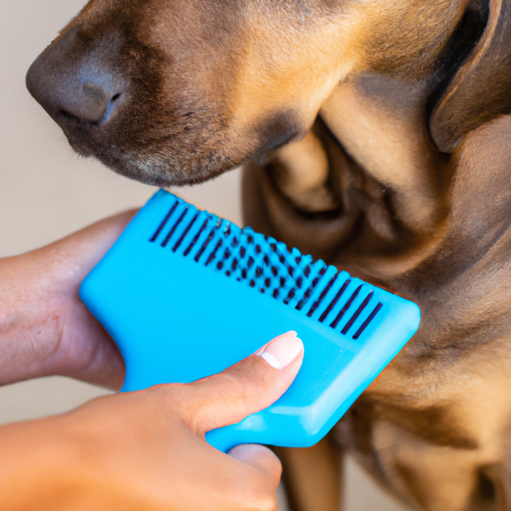 Training Your Dog to Stay Calm during Brushing or Combing with a Slicker Brush