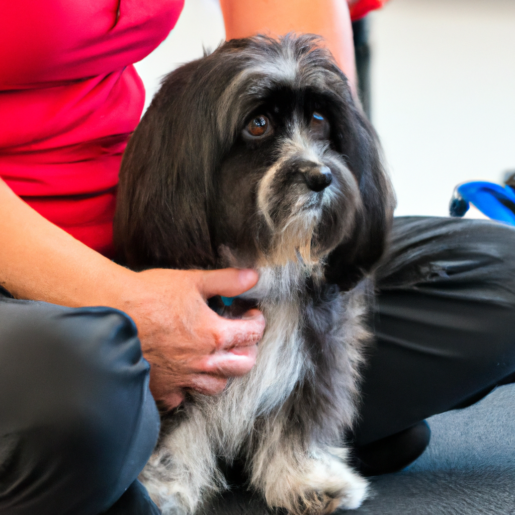 Teaching Your Dog to Stay Calm during Handling by Professional Trainers