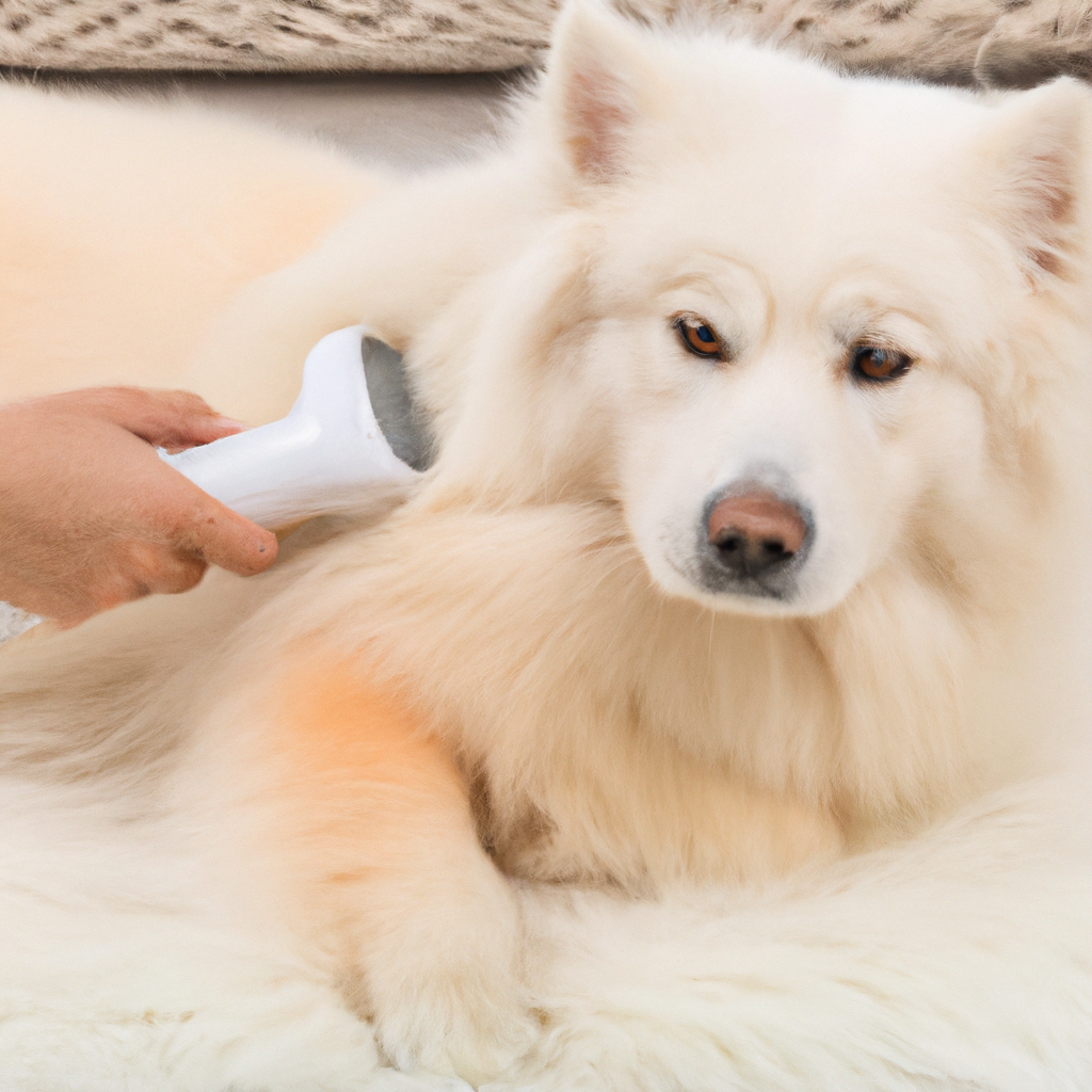 Mastering the Art of Brushing: How to Maintain a Healthy Coat for Your Furry Friend