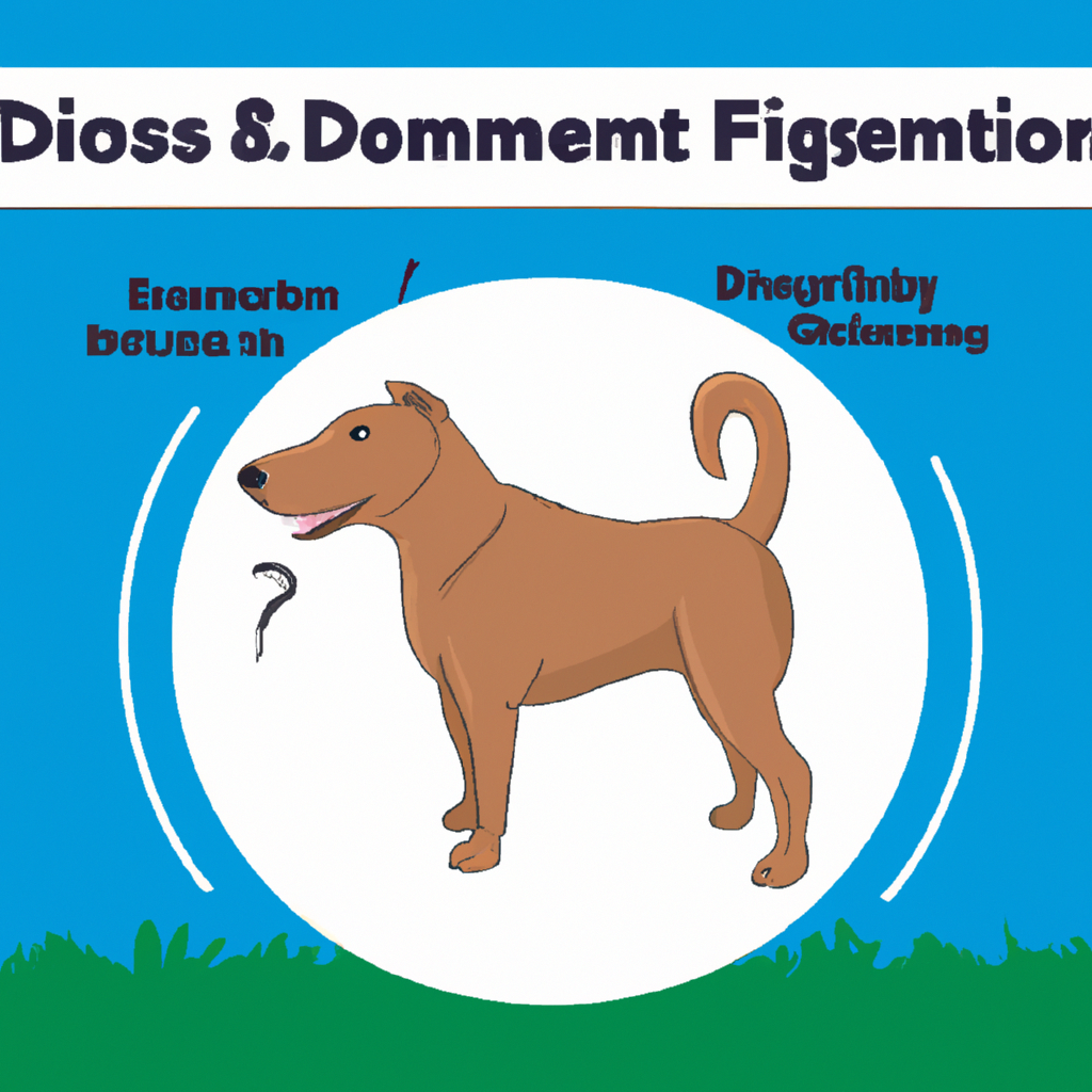 Recognizing the Signs: Identifying Common Digestive Issues in Dogs